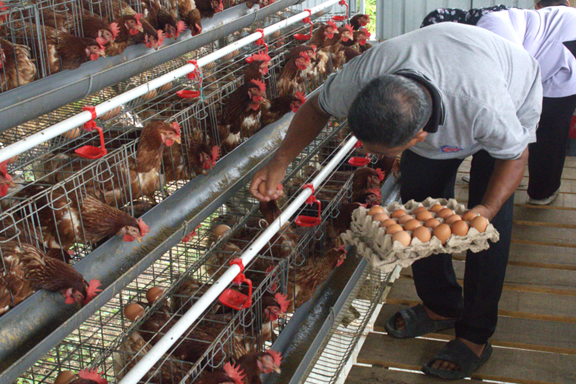 master-foto-studi-tiru-001